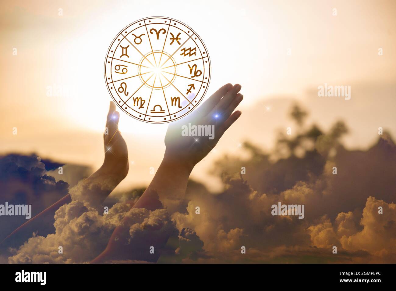 Segni zodiacali all'interno del cerchio oroscopo astrologia e oroscopi concetto Foto Stock