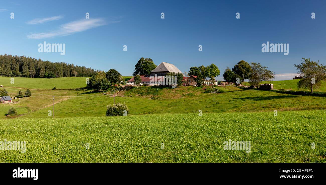 Fattoria nei pressi di San Pietro nella Foresta Nera, Baden-Württemberg, Germania, Foto Stock