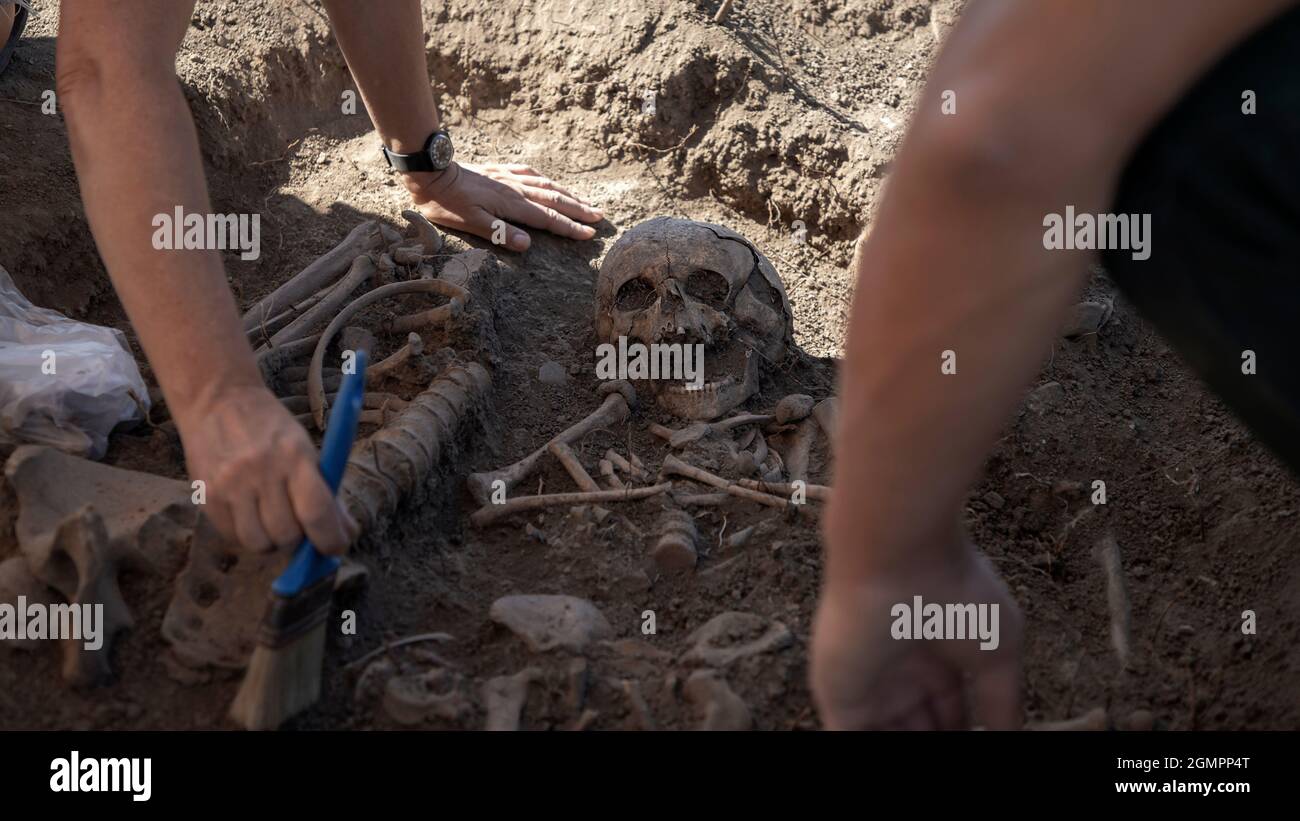 Vinča, Serbia, 4 settembre 2021: Primo piano degli archeologi che lavorano allo scavo di resti umani Foto Stock