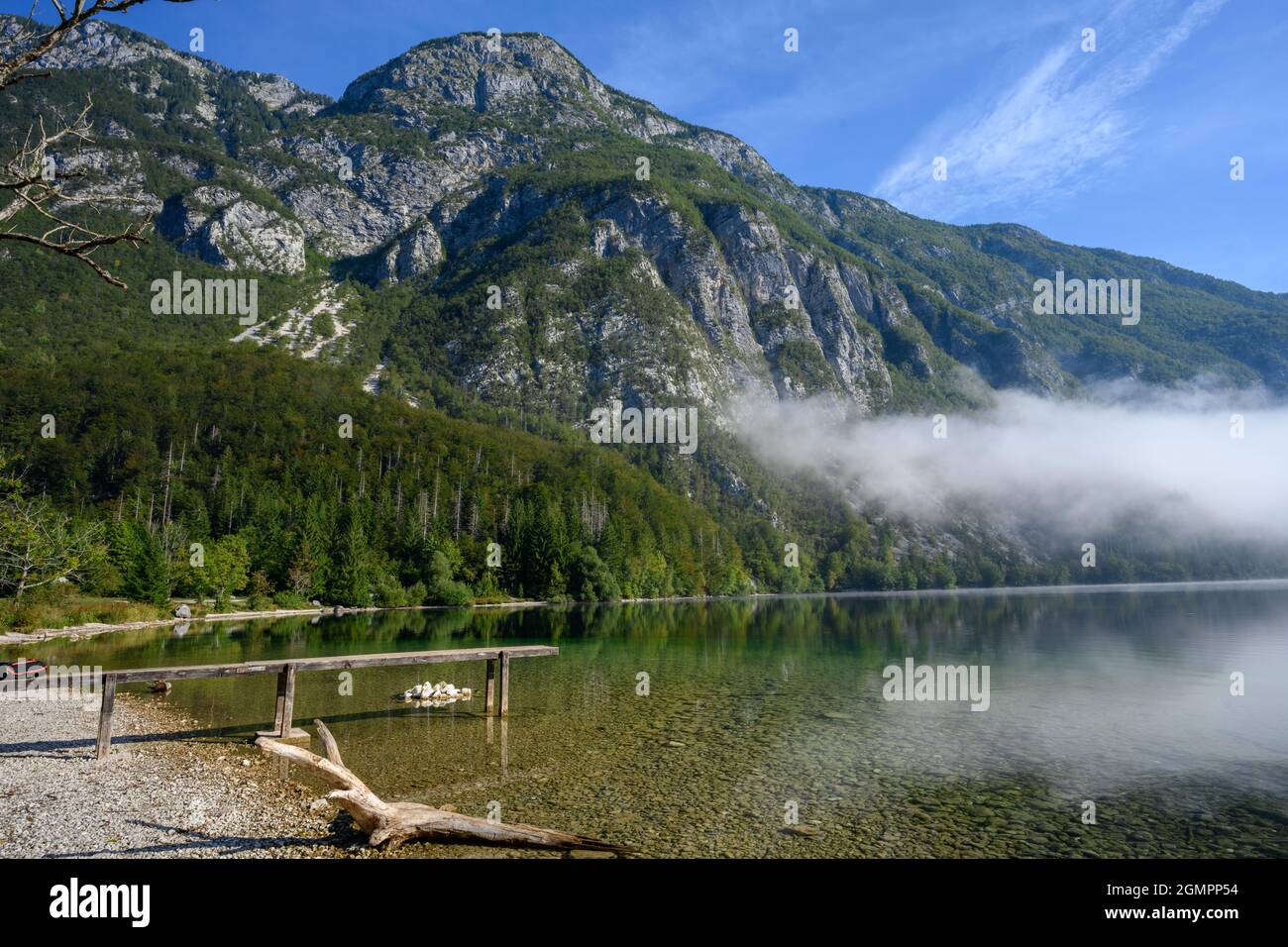 Nebbia sul lago di Bohinj all'alba Foto Stock