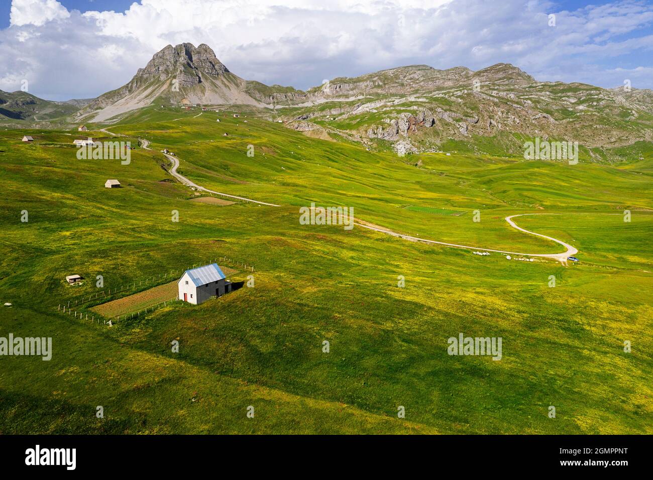 Veduta aerea di un altopiano lukavica beuautiful e prati alpini pieni di fiori estivi sulle montagne sopra la città niksic, montenegro Foto Stock