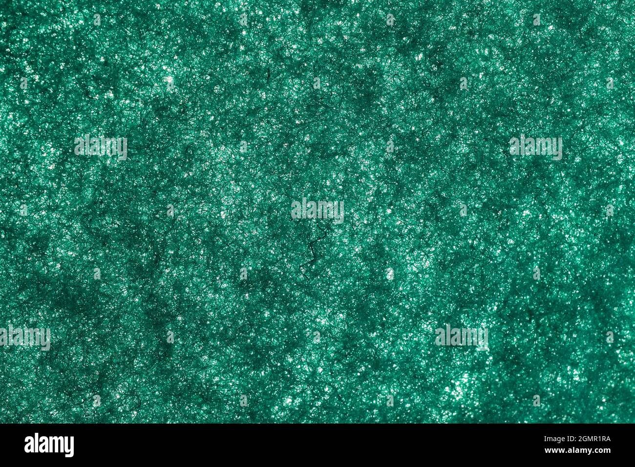 Tessuto del tampone per la spugnetta Foto Stock