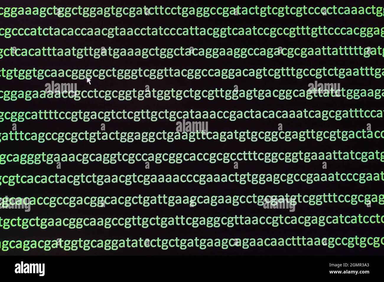 Sfondo astratto, sequenziamento genoma. La sequenza delle basi nucleotidiche di un frammento di DNA. Foto Stock