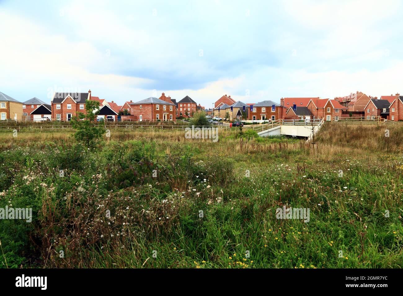 Butterfield Meadow, Heacham, Norfolk, nuovo sviluppo abitativo, su terreni precedentemente agricoli Foto Stock