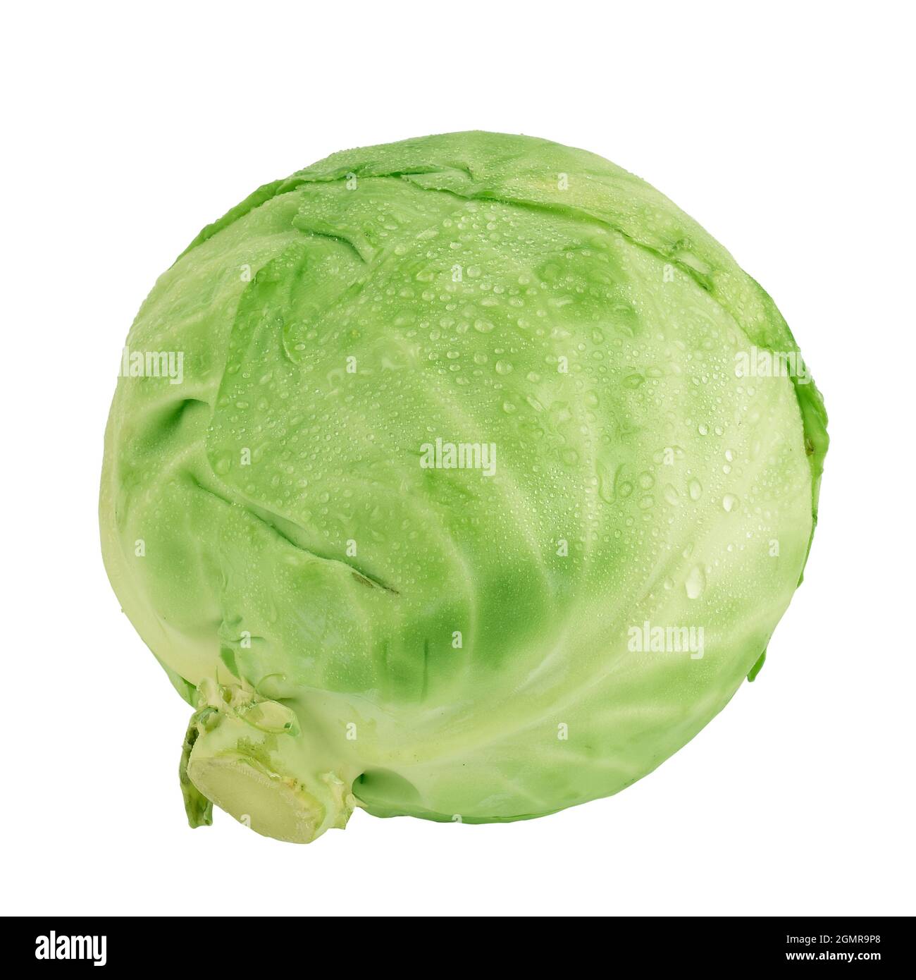 Fresco cavolo isolato su sfondo bianco con Clipping Path Foto Stock