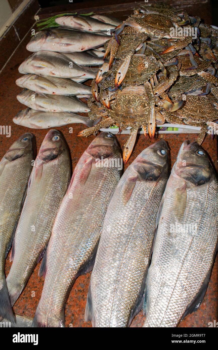 Frutti di mare, pesce e granchio freschi dal mare con pelle colorata e conchiglie dure e spigola fresca. Foto Stock