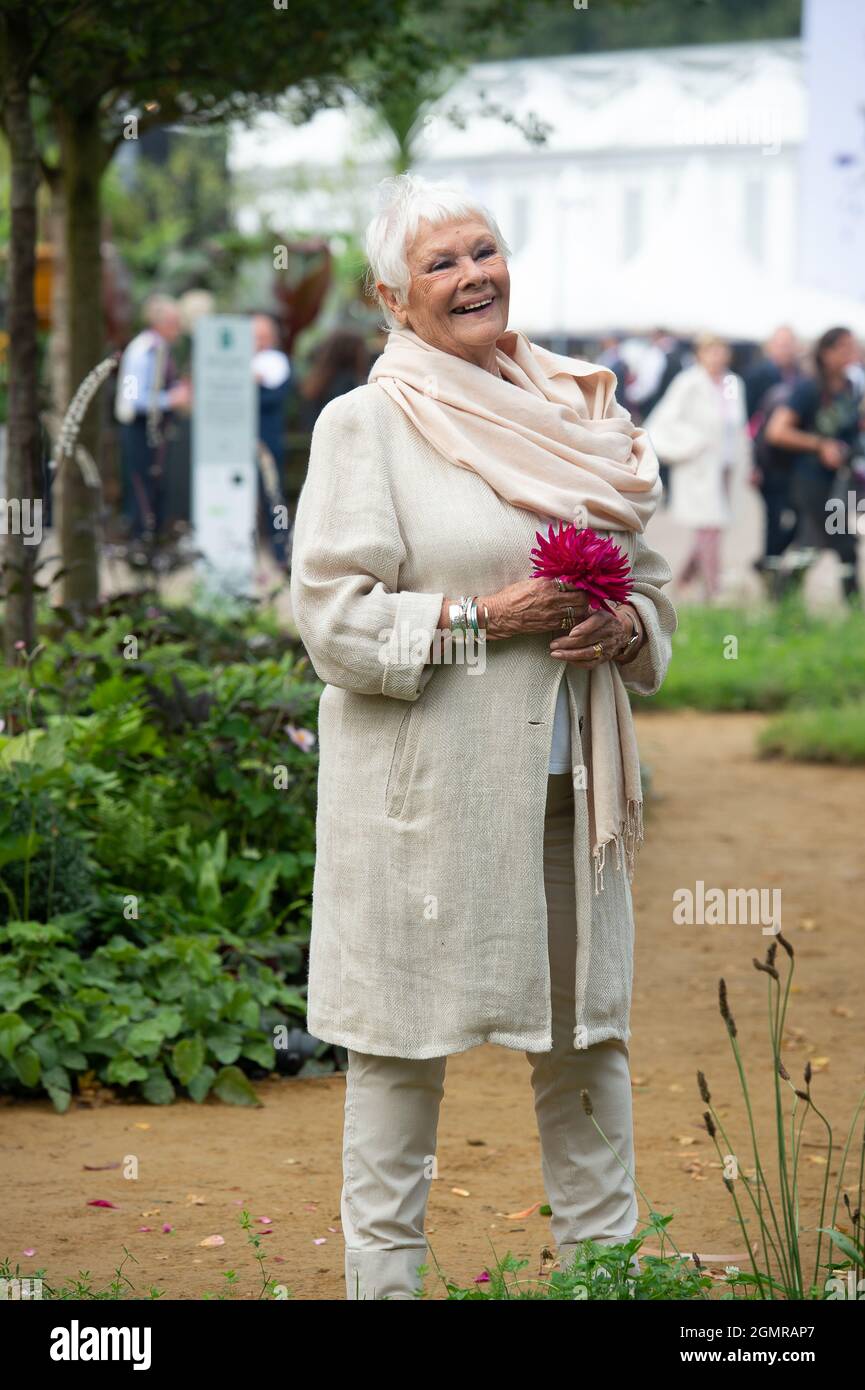 Londra, Regno Unito. 20 Settembre 2021. Dame Judi Dench, Ambasciatore della Canopia Verde della Regina, aprì il Giardino della Canopia della Regina RHS insieme ad alcuni pensionati del Chelsea. È stata una giornata intensa nella giornata stampa al RHS Chelsea Flower Show 2021. Credit: Maureen McLean/Alamy Live News Foto Stock