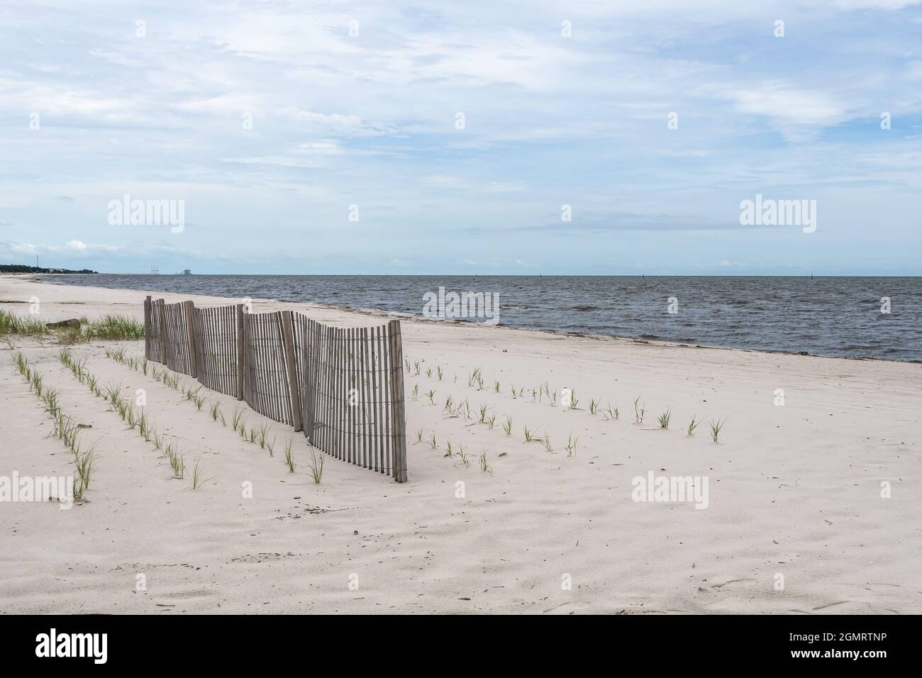 Restauro di dune di sabbia, costruzione di dune e recinzioni di sabbia sulla costa del Golfo del Mississippi, USA. Foto Stock