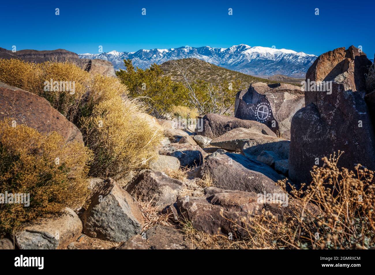 Petroglifi del New Mexico al luogo di Petroglyph di tre fiumi amministrato dal Bureau of Land Management nella contea di Otero, New Mexico, USA. Foto Stock