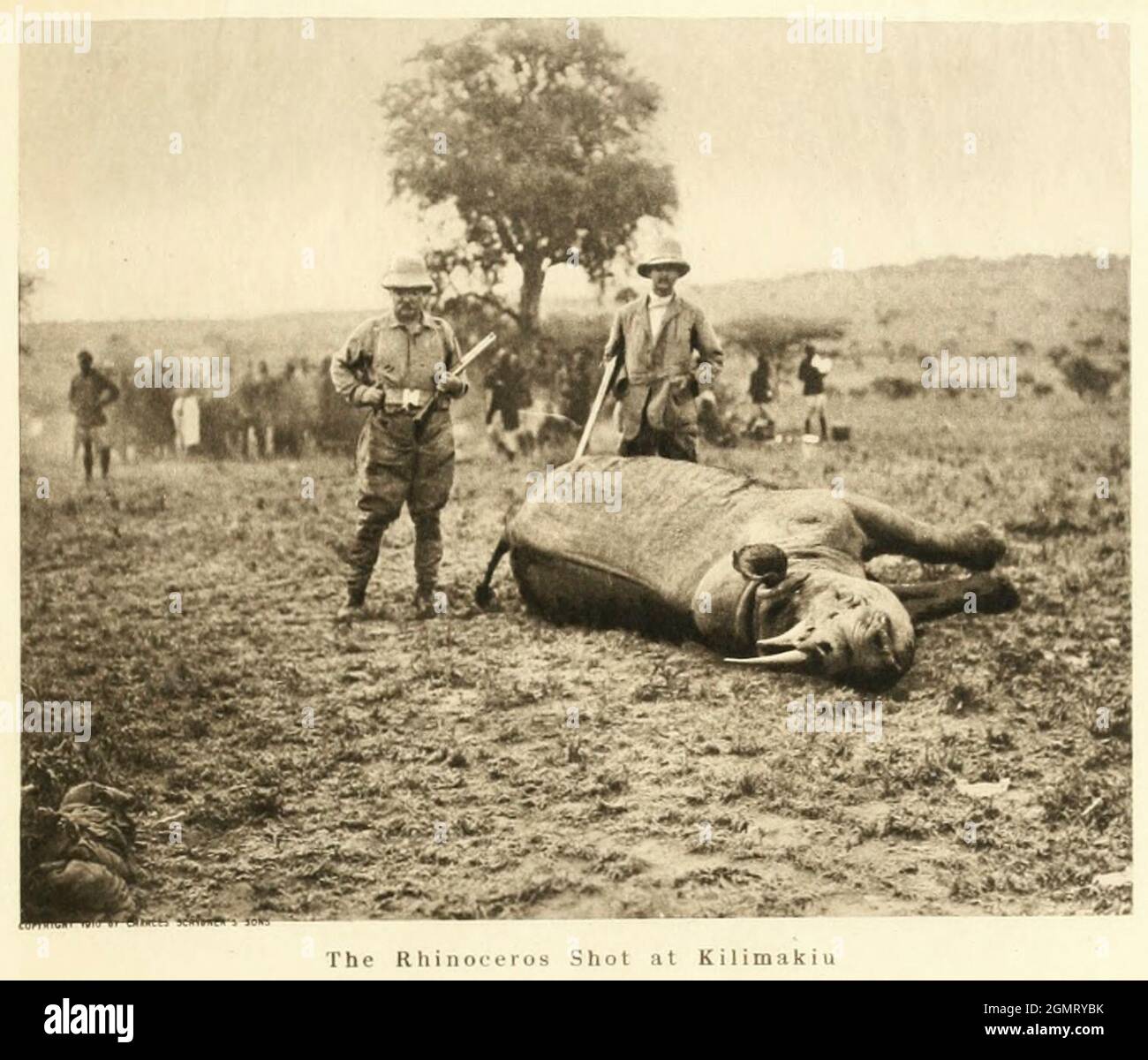 The Rhinoceros Shot a Kilimakiu - Theodore Roosevelt su African Safari Foto Stock
