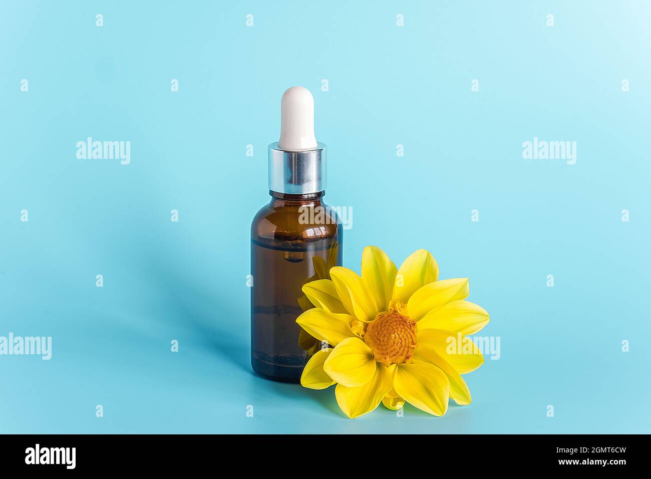 Olio essenziale in flacone contagocce marrone e fiore giallo su sfondo blu. Prodotto cosmetico biologico di bellezza naturale di concetto. Foto Stock