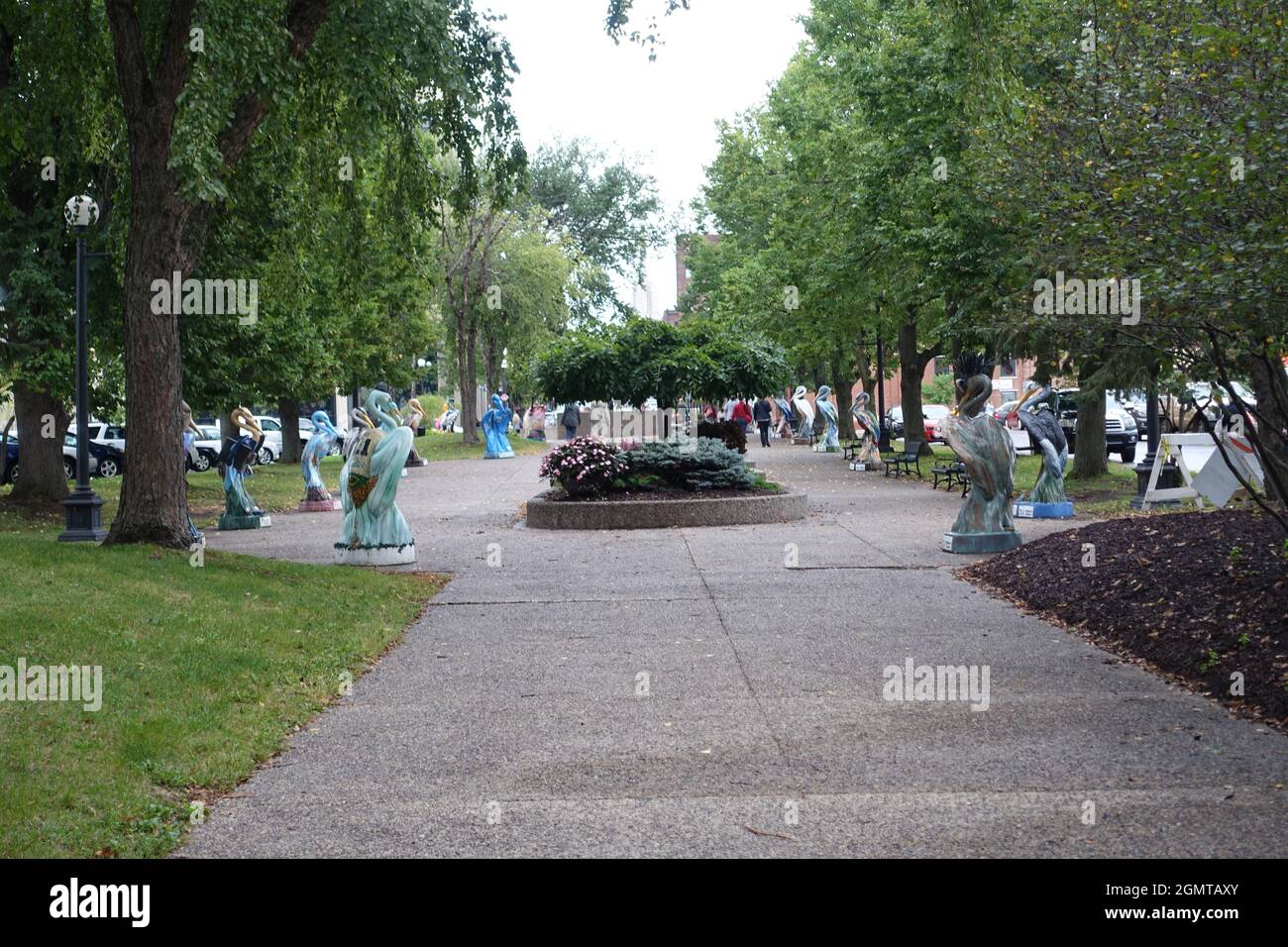 La Crosse Wisconsin Pelicans al parco fluviale Foto Stock