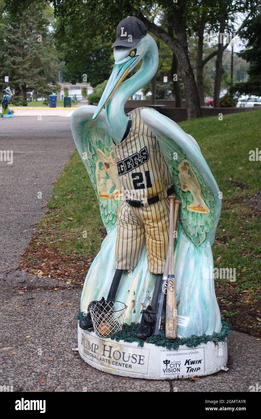 La Crosse Wisconsin Pelicans al parco fluviale Foto Stock