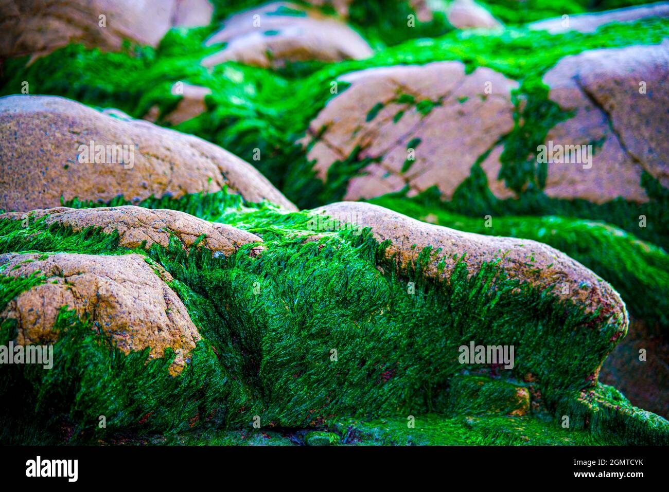 Spiaggia di Co Thach nella provincia di Binh Thuan nel Vietnam meridionale Foto Stock