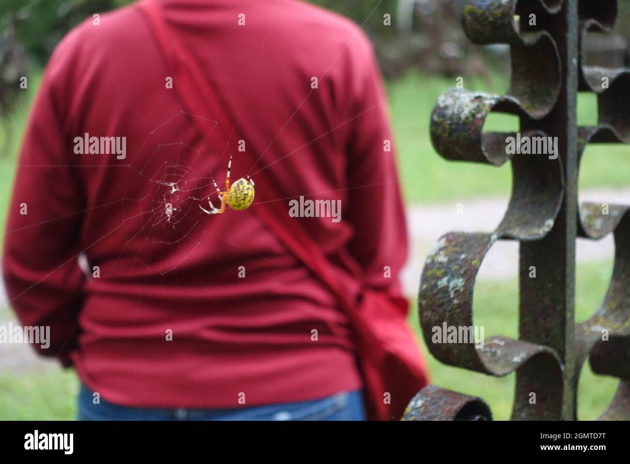 Forevertron del Dott. Evermor Foto Stock