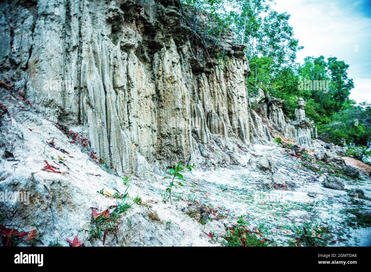 Bel paesaggio di Suoi Tien nella provincia di Binh Thuan Vietnam meridionale Foto Stock