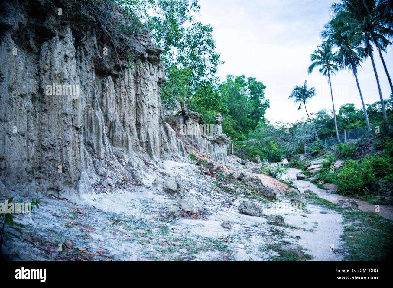 Bel paesaggio di Suoi Tien nella provincia di Binh Thuan Vietnam meridionale Foto Stock