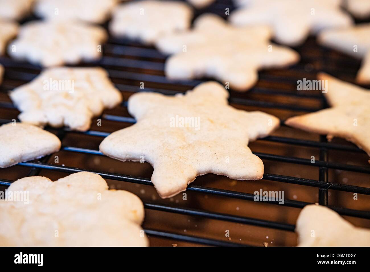 Poco profondo fuoco sui biscotti dello zucchero non decorati che cucinano su una cremagliera metallica. Foto Stock
