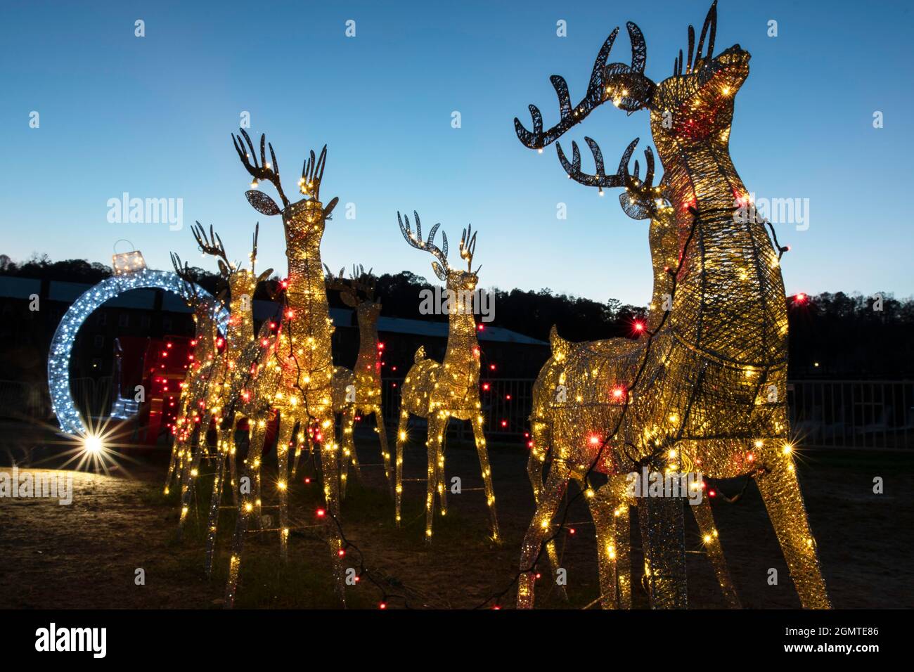 Mostra di Natale con renna illuminata contro un cielo blu Foto Stock