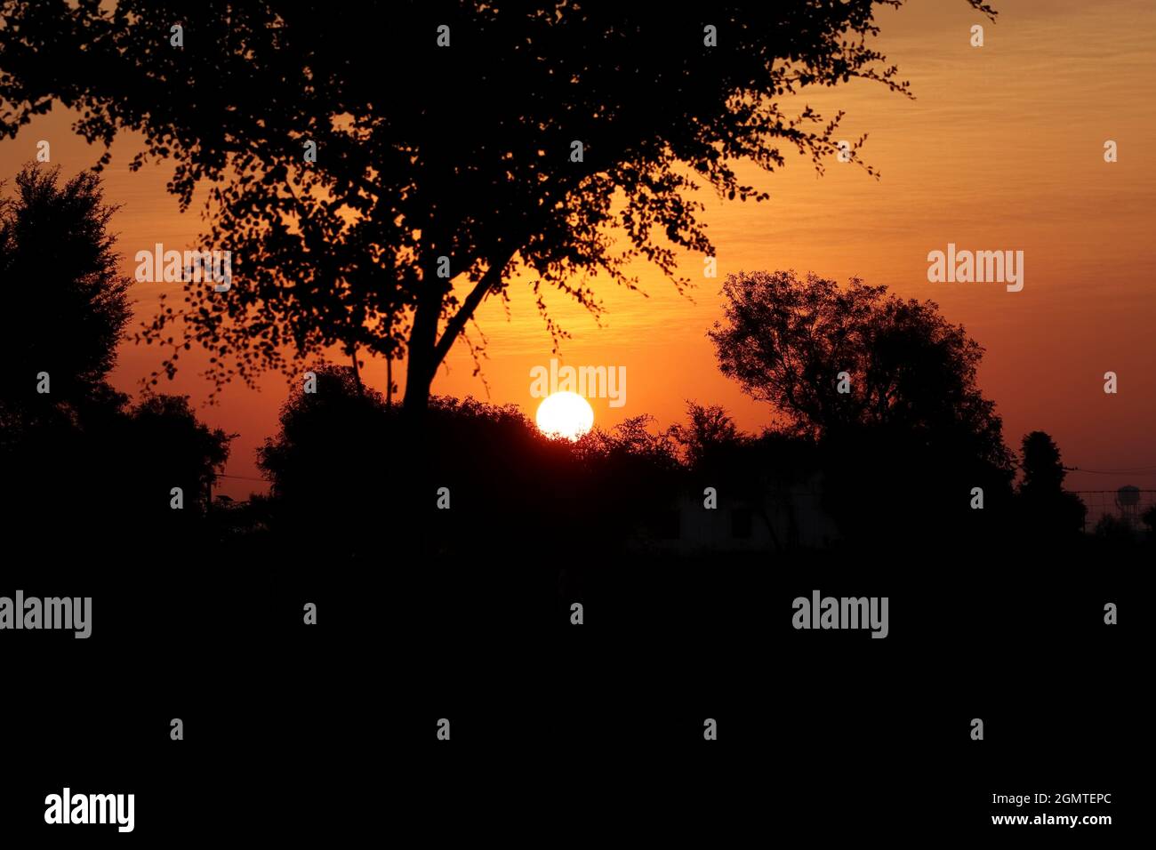 Vista del sole pieno giallo rotondo luminoso e luce solare debole, Tramonto dietro la silhouette di alberi selvatici e piccola collina, la piena luminosità e la nitidezza del sole in Foto Stock