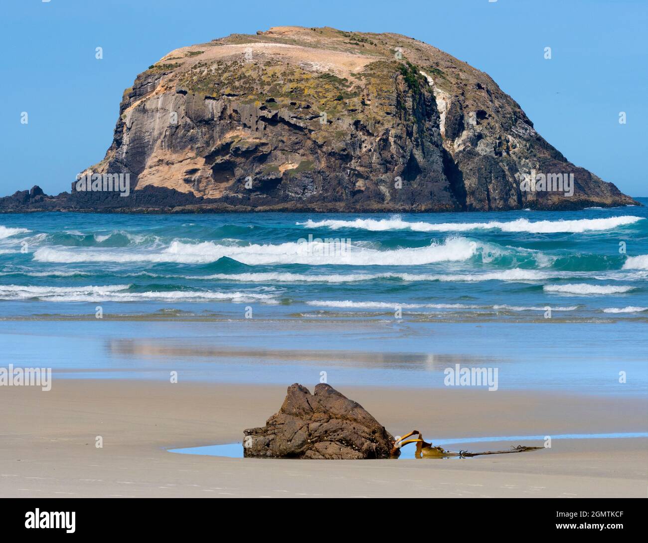 Otago, Nuova Zelanda South Island - 26 Febbraio 2019 Allans Beach è bella, deserta e ha livelli cosmici di surf. Di fronte al Pacifico, il suo più vicino Foto Stock
