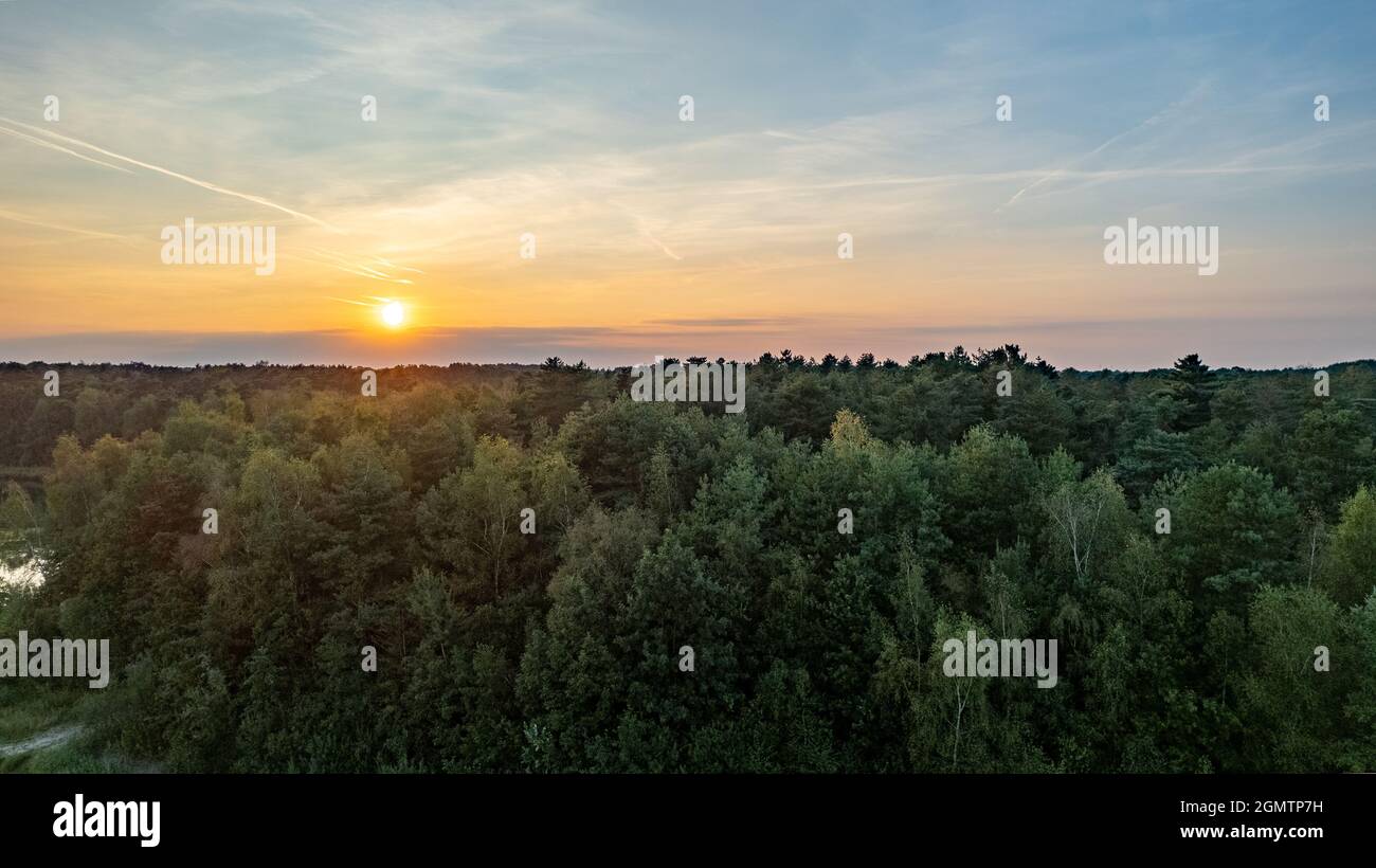 Vista aerea di un paesaggio rurale durante l'alba in Belgio. Fattoria rurale, campi di mais, campi verdi, luce solare e nebbia. Belgio, Europa. Foto di alta qualità Foto Stock