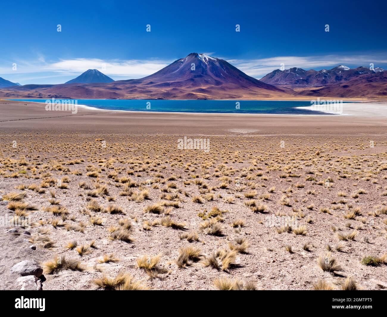 Cile, Altiplano - 26 maggio 2018 situato nell'altiplano cileno, cLaguna Miniques e Miscanti sono due dei laghi salati più belli del Sud America. Foto Stock