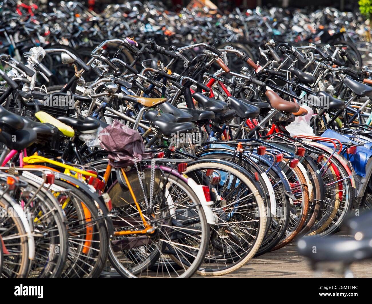 Amsterdam, Paesi Bassi - 26 maggio 2016; nessuna persona in vista. Biciclette massaggiate parcheggiate nel parco biciclette della Stazione Centrale. Le biciclette dominano Amsterdam. Tran Foto Stock