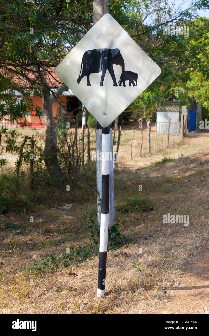 Provincia del Sud, Sri Lanka - 15 Febbraio 2014 segnale di avvertimento visto da una strada dove gli elefanti sono conosciuti per attraversare. Credetemi, per tutta una serie di reaso Foto Stock