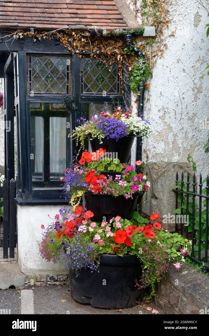 Display floreale in Porlock, Exmoor, Somerset, UK Foto Stock