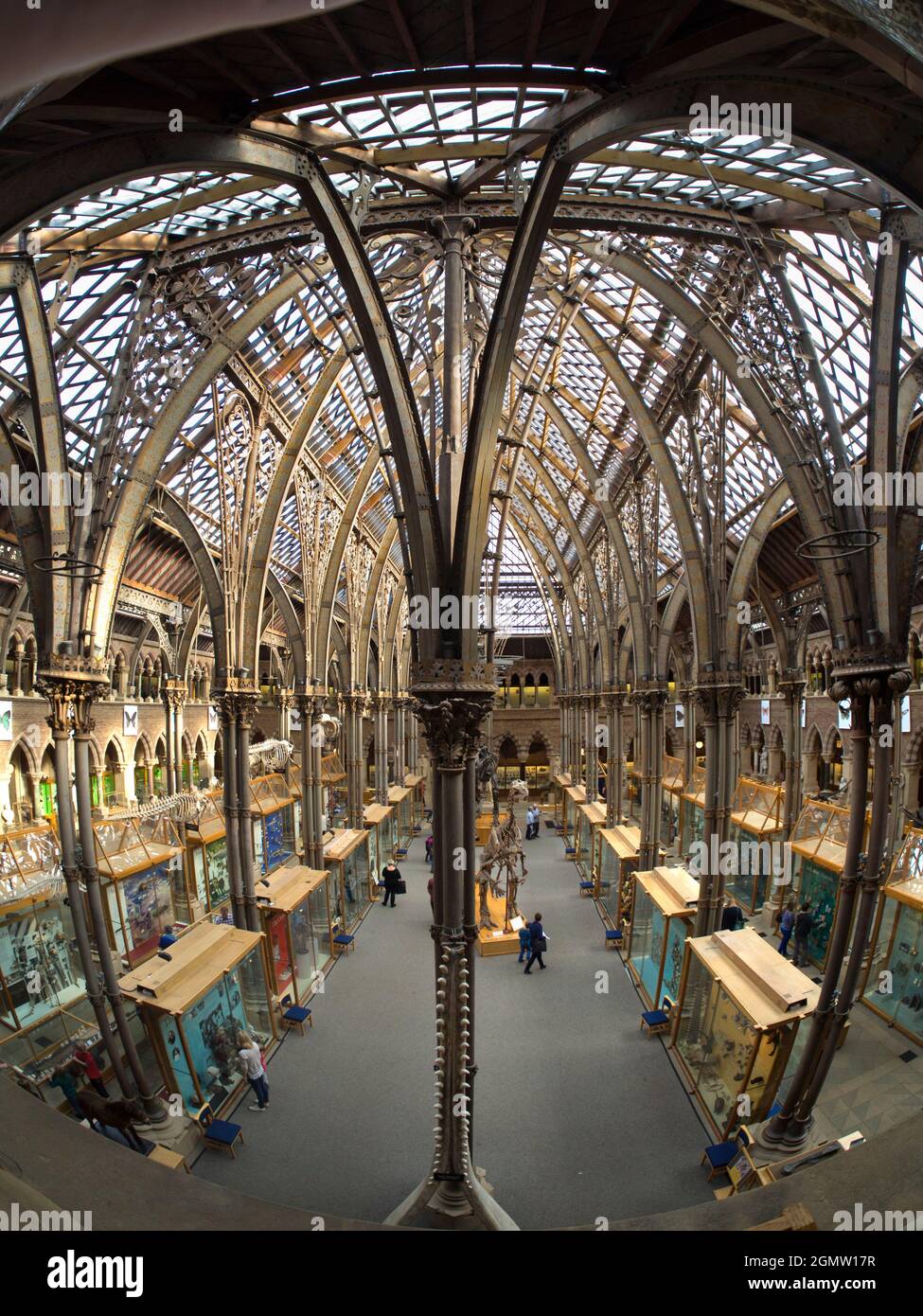 Oxford, Inghilterra - 2014; il Pitt Rivers Museum è un museo che espone le collezioni archeologiche e antropologiche dell'Università di Oxford. Foto Stock