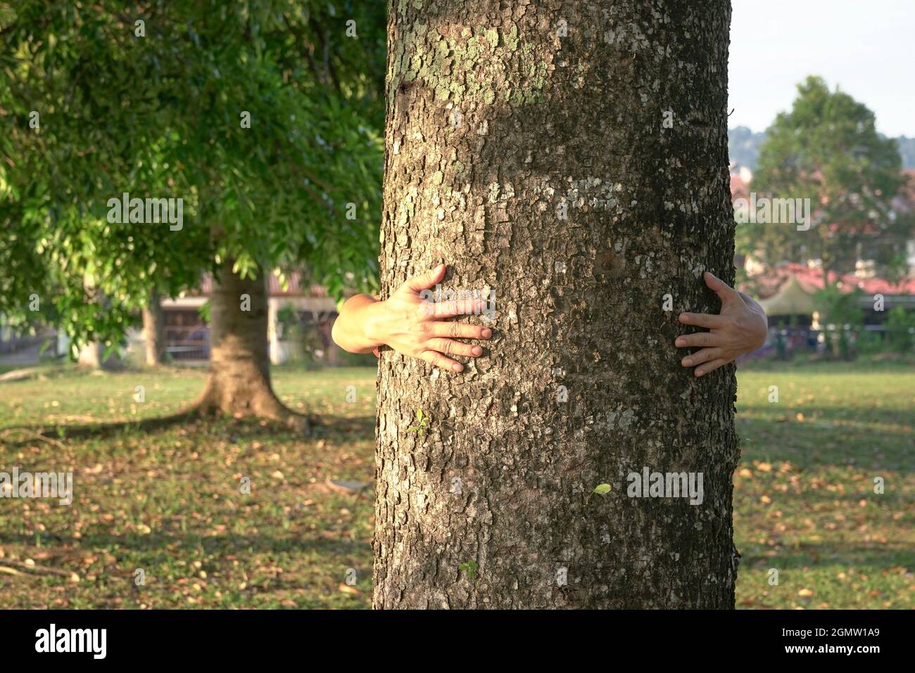 Uomo abbraccio albero corteccia. Conservazione e salvare il concetto del pianeta. Spazio di copia. Foto Stock