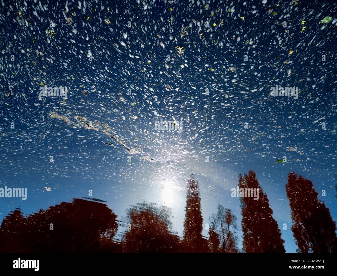 Cielo stellato di van gogh immagini e fotografie stock ad alta ...