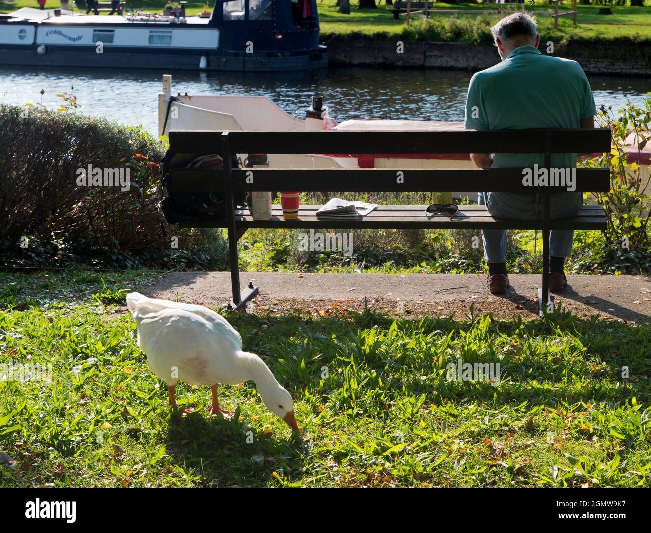 Abingdon, Inghilterra - 13 settembre 2020; una persona in colpo, visto da dietro. Ora è qui una scena intima e quintessenza inglese - un uomo rilassante Foto Stock