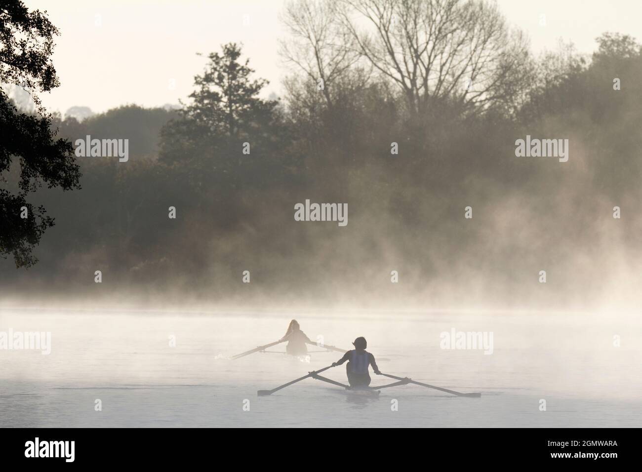 Fiume Tamigi a Oxford, Inghilterra; membri dell'università che remano. Praticare canottaggio sul Tamigi a Oxford, appena a monte del Folly Bridge. È un Misty Aut Foto Stock