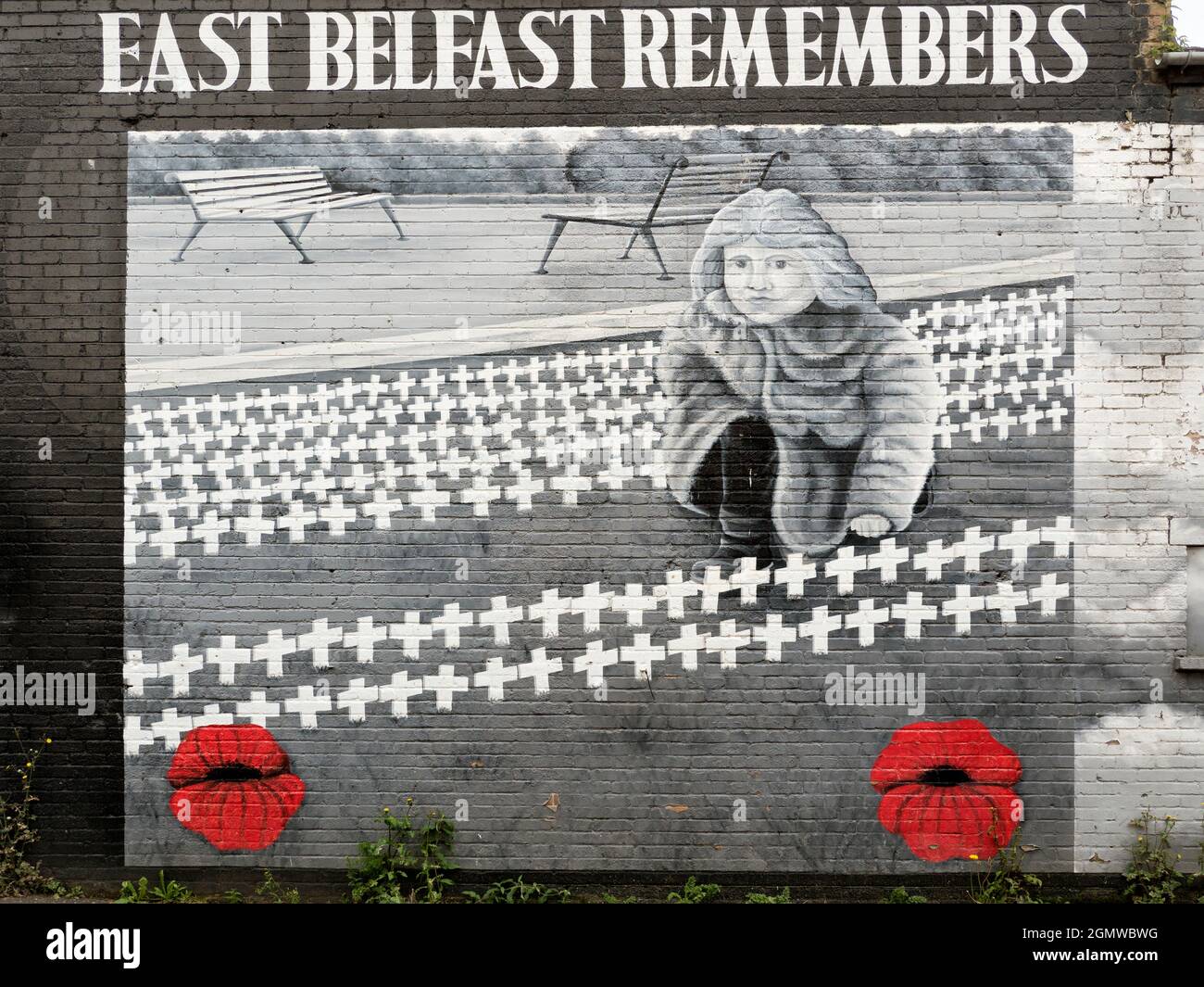 Belfast, Ulster - Regno Unito; Belfast è una città che non può, apparentemente, lasciare qualsiasi muro intatto senza un tuffo di colore. I graffiti, especiA Foto Stock