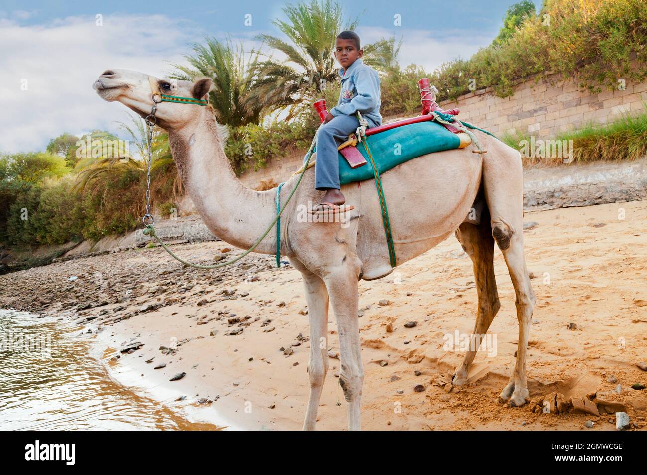 Assuan, Egitto - 3 dicembre 2010; un ragazzo nel colpo. La riva occidentale del Nilo e il deserto nubiano adiacente è molto caldo anche a metà inverno. Così questo ca Foto Stock