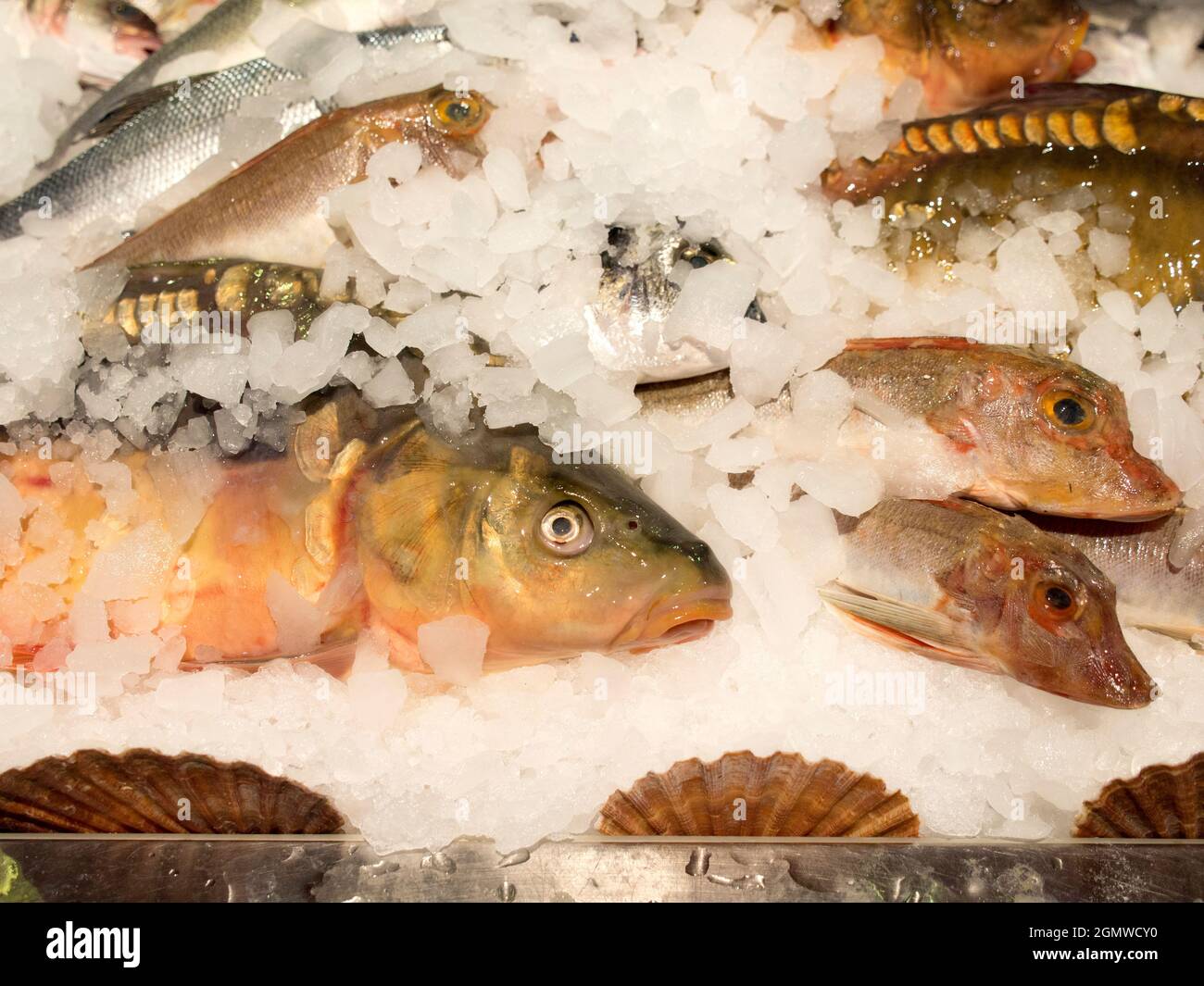 Oxford, Inghilterra - 2007; questi pesci freschi nel mercato coperto storico di Oxford sguardo profondamente sorpreso a trovarsi là... Il mercato coperto Foto Stock