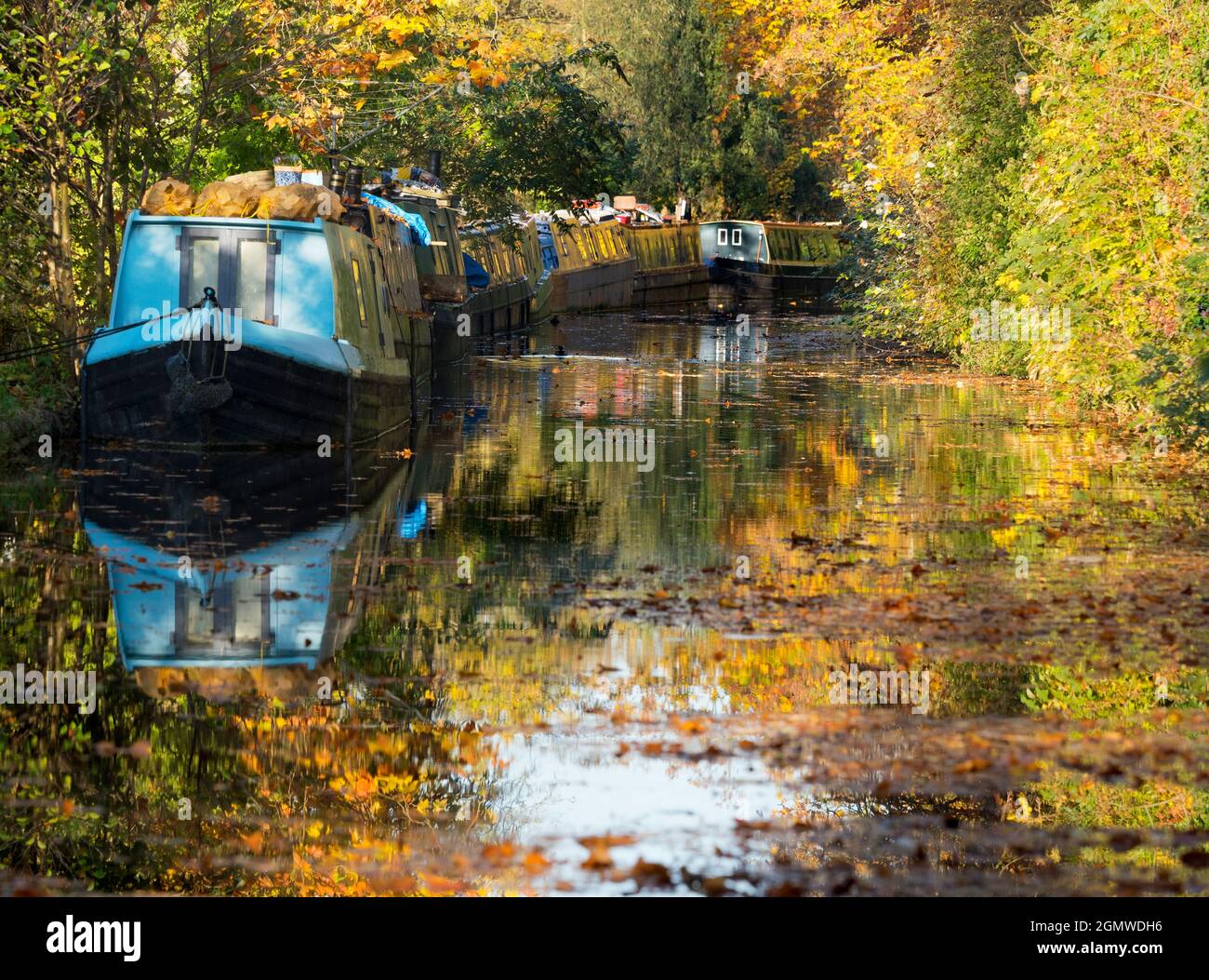 Le case galleggianti ormeggiate si affacciano sul canale di Oxford a Gerico in questa bella mattinata d'autunno, proprio come gli alberi sono in fiamme di colore. Il canale di Oxford è un histo Foto Stock