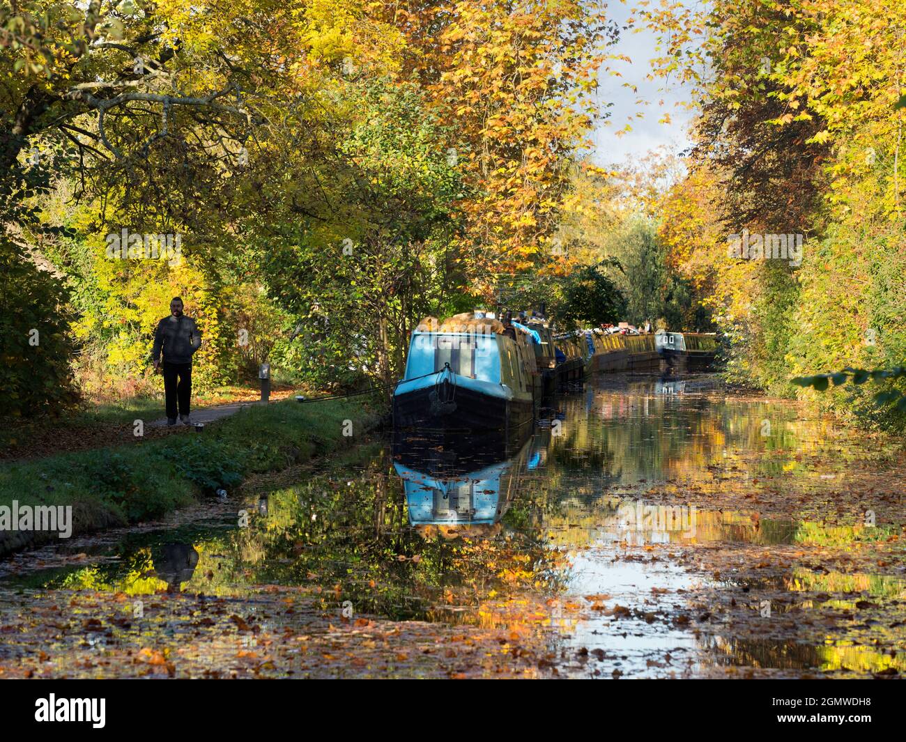 Le case galleggianti ormeggiate si affacciano sul canale di Oxford a Gerico in questa bella mattinata d'autunno, proprio come gli alberi sono in fiamme di colore. Il canale di Oxford è un histo Foto Stock