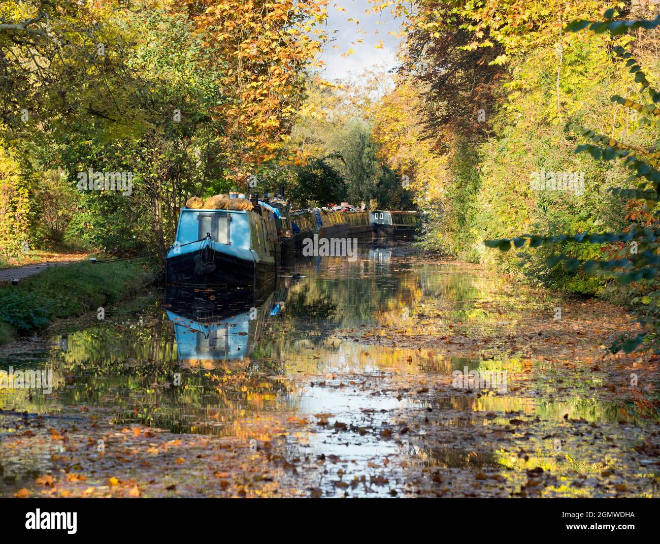 Le case galleggianti ormeggiate si affacciano sul canale di Oxford a Gerico in questa bella mattinata d'autunno, proprio come gli alberi sono in fiamme di colore. Il canale di Oxford è un histo Foto Stock