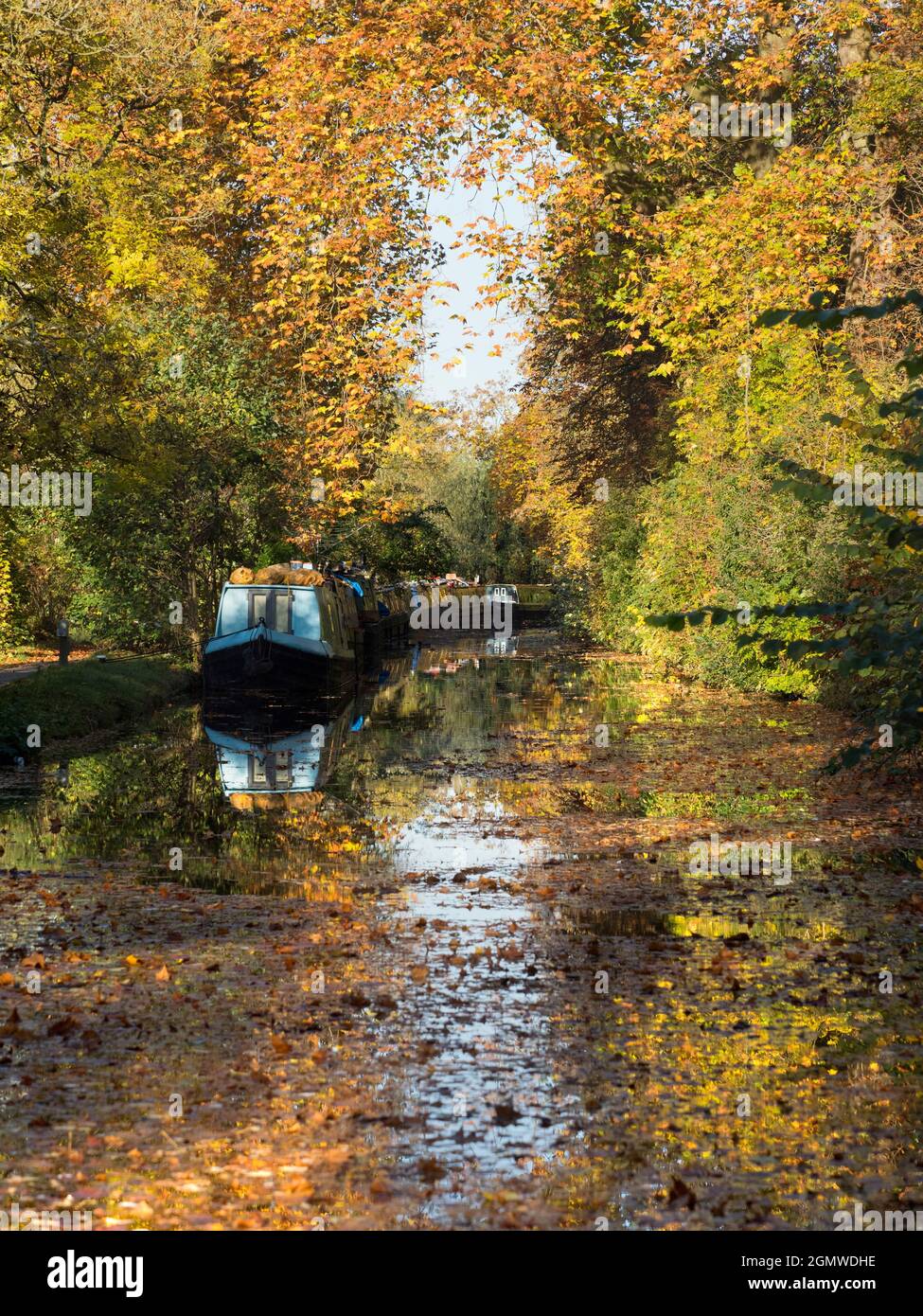 Le case galleggianti ormeggiate si affacciano sul canale di Oxford a Gerico in questa bella mattinata d'autunno, proprio come gli alberi sono in fiamme di colore. Il canale di Oxford è un histo Foto Stock