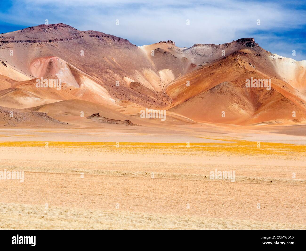 Deserto di Siloli, Bolivia - 25 maggio 2018 il Desierto de Siloli è un deserto di montagna alto e asciutto situato nell'Altiplano, nella Bolivia sud-occidentale; la maggior parte di t Foto Stock