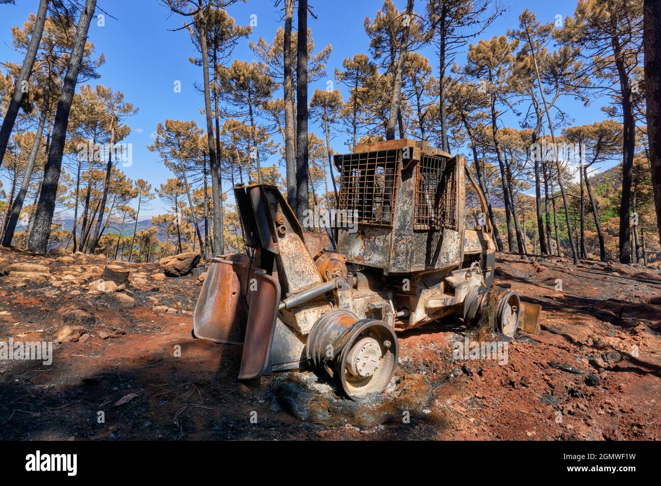 Macchinario pesante bruciato da fuoco nel fuoco della Jubrique vicino alla Sierra Bermaja nella Valle di Genal, Malaga. Andalusia, Spagna. Settembre 2021 Foto Stock