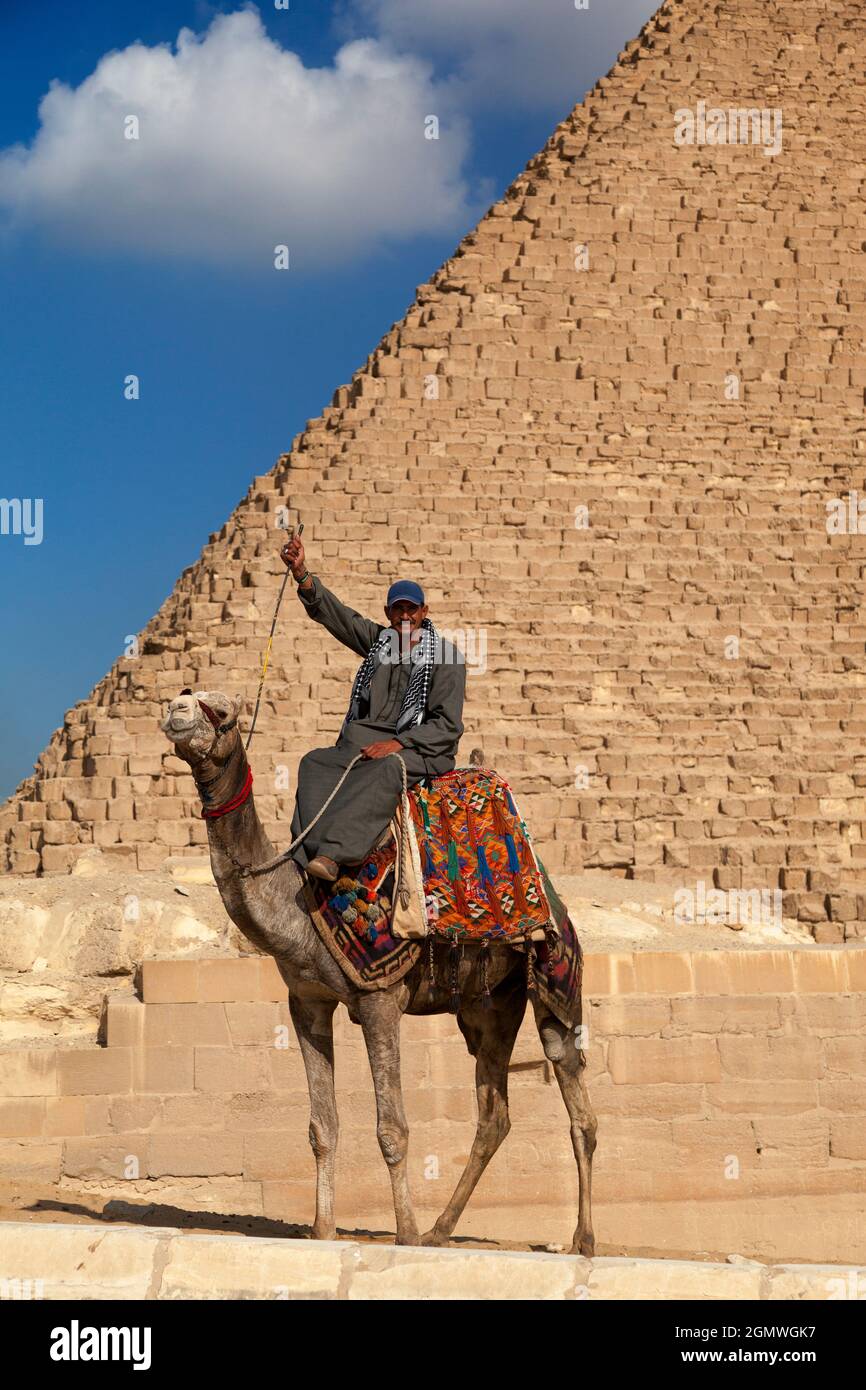 Attenzione! Un pilota di cammello in attesa in agguato per i turisti a Khafre piramide sul altopiano di Giza fuori il Cairo, Egitto. Mai, mai ottenga mai su uno di questi è venuto Foto Stock