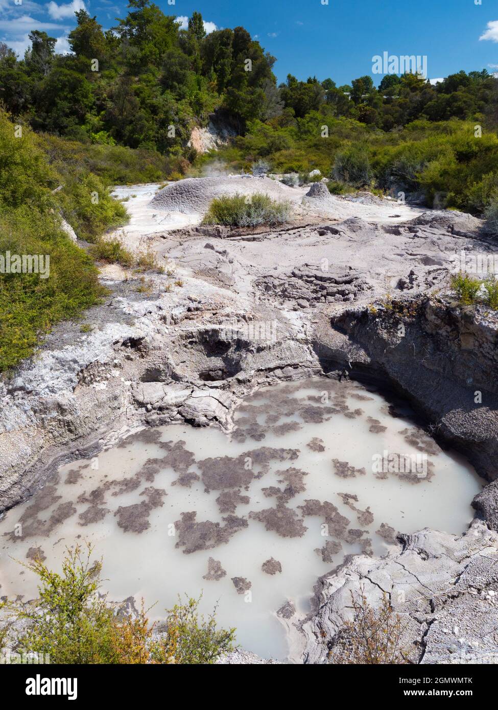 Rotorua, Nuova Zelanda - 1 marzo 2019; Rotorua, nell'Isola del Nord della Nuova Zelanda, è un'area estesa ricca di sfiati geotermici, sorgenti di fango bollente, su Foto Stock