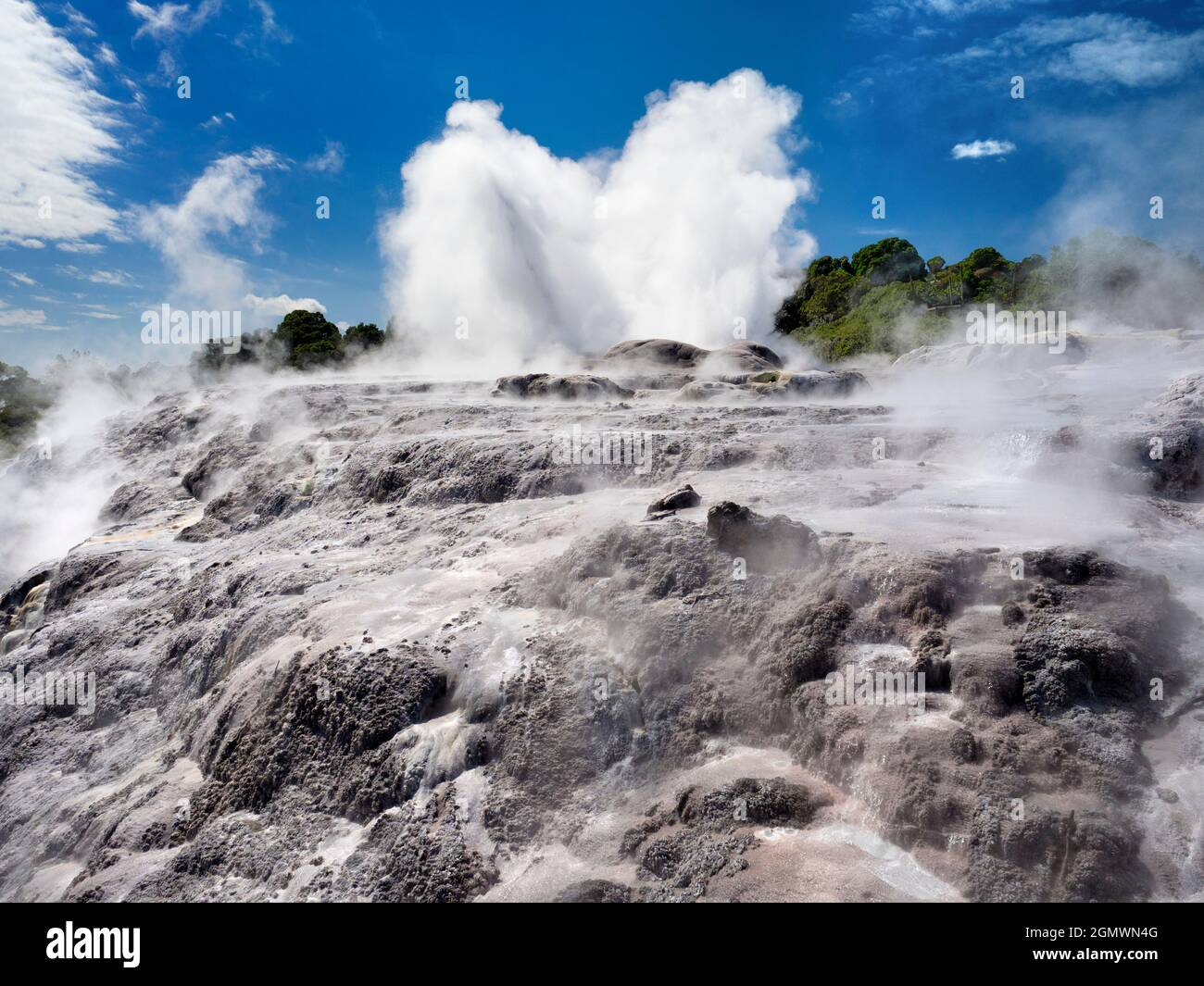 Rotorua, Nuova Zelanda - 1 marzo 2019; Rotorua, nell'Isola del Nord della Nuova Zelanda, è un'area estesa ricca di sfiati geotermici, sorgenti di fango bollente, su Foto Stock