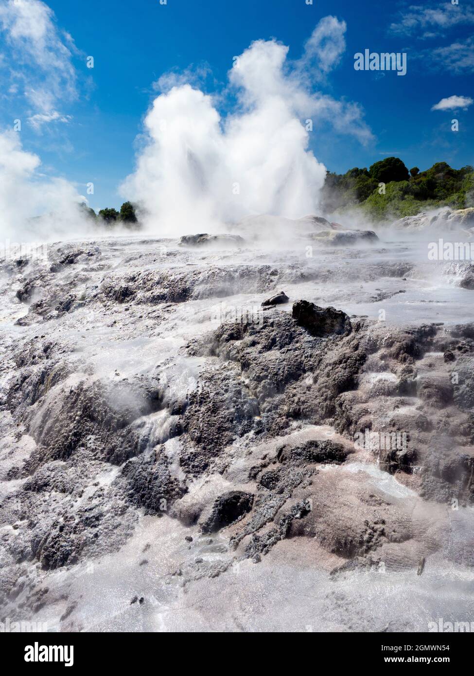 Rotorua, Nuova Zelanda - 1 marzo 2019; Rotorua, nell'Isola del Nord della Nuova Zelanda, è un'area estesa ricca di sfiati geotermici, sorgenti di fango bollente, su Foto Stock