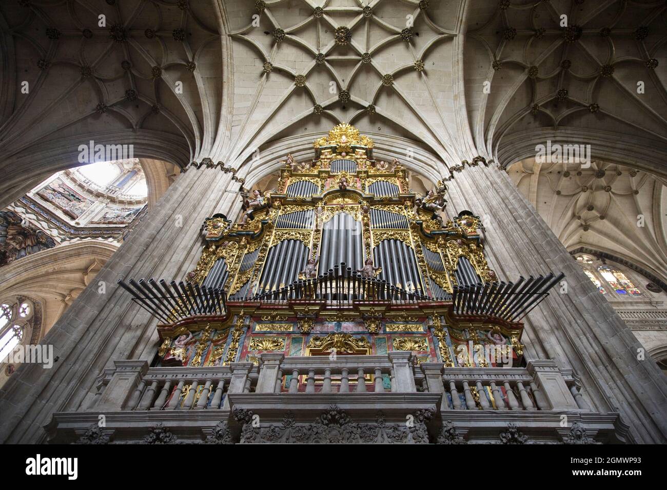 La nuova cattedrale di Salamanca fu costruita tra il XVI e il XVIII secolo in due stili: Tardo gotico e barocco. La costruzione è iniziata nel 1513 e la c Foto Stock