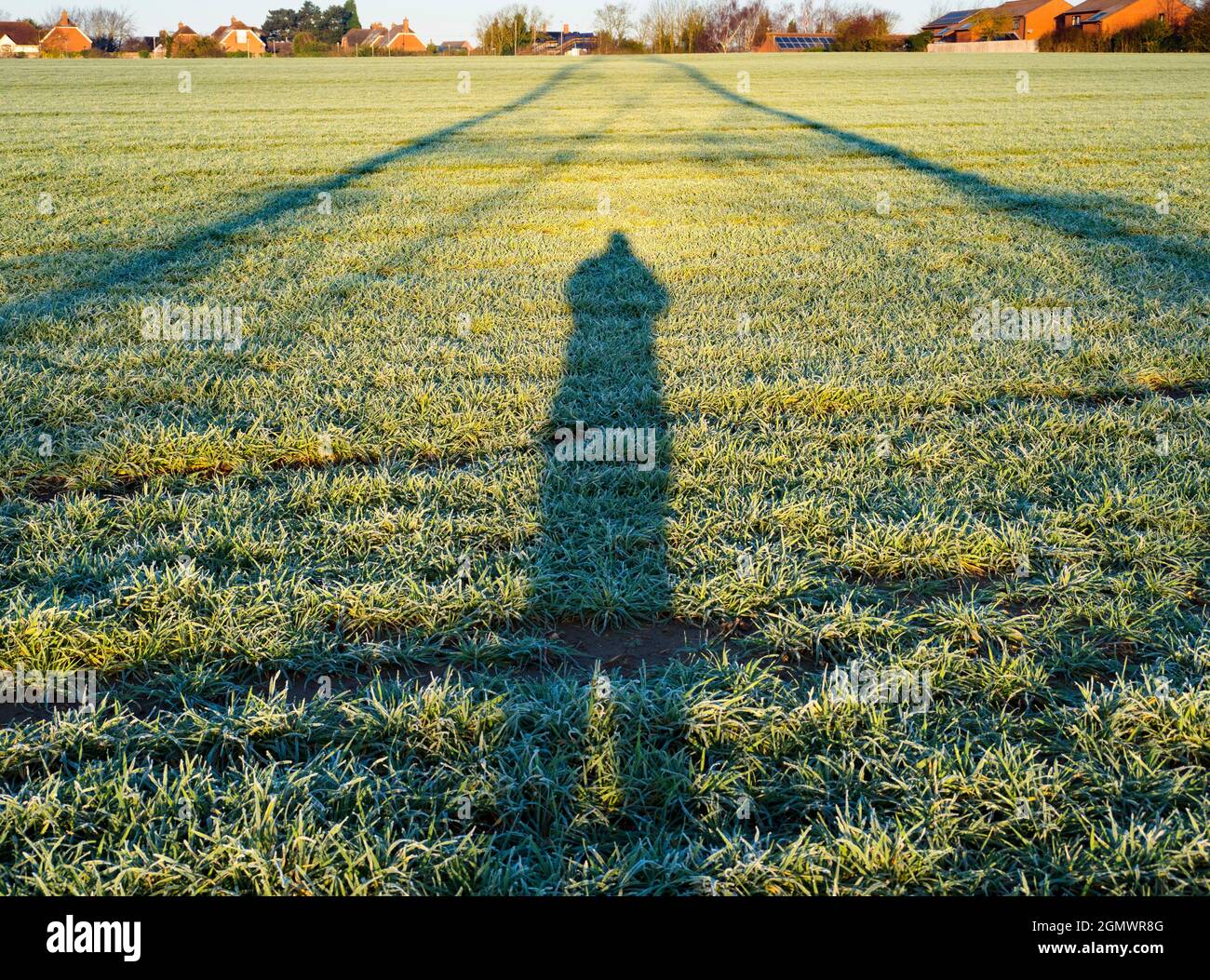 Oxfordshire, Inghilterra - 27 Febbraio 2021; nessuna gente in vista. Amo i piloni elettrici; trovo le loro forme astratte e gaunt infinitamente affascinanti. E Foto Stock